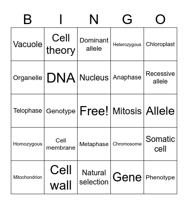 Biology Vocab Bingo Card