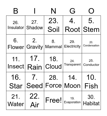Science Bingo Card