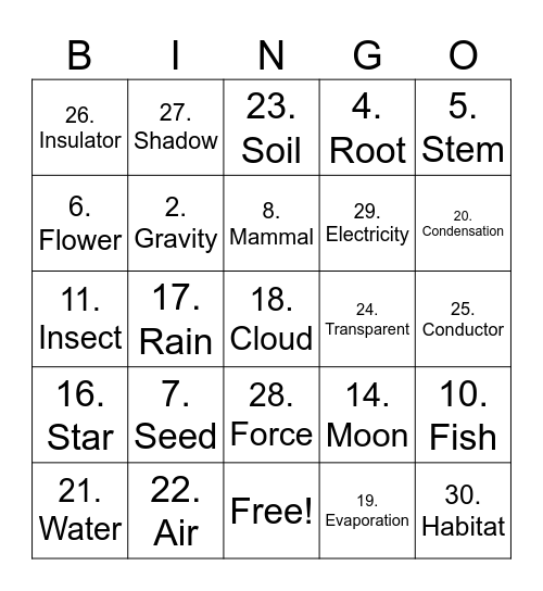 Science Bingo Card