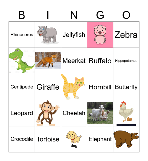 HAKUNA MATATA! Bingo Card