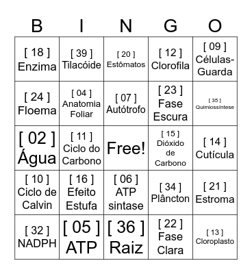 BINGO DA FOTOSSÍNTESE Bingo Card