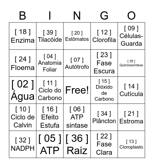 BINGO DA FOTOSSÍNTESE Bingo Card
