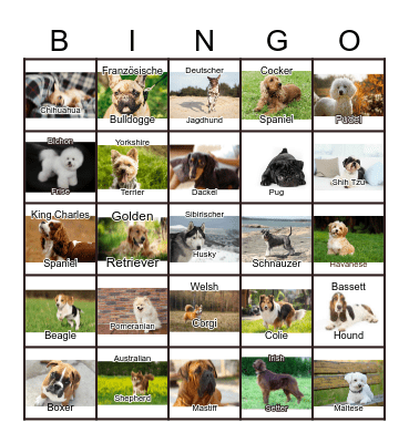 Dogs Bingo Card