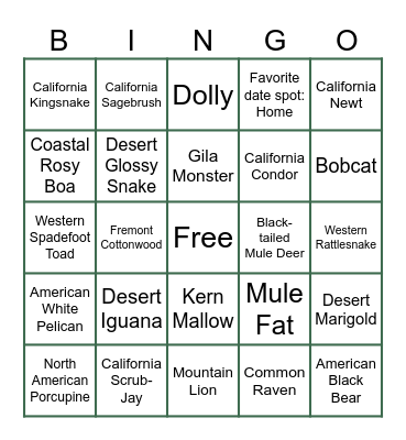 Bridal Bingo: Gone Wild Bingo Card