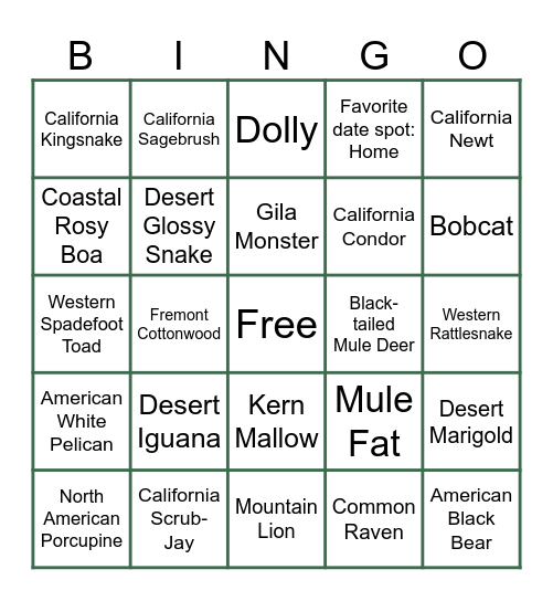 Bridal Bingo: Gone Wild Bingo Card
