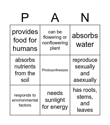 Characteristics of Plants Bingo Card