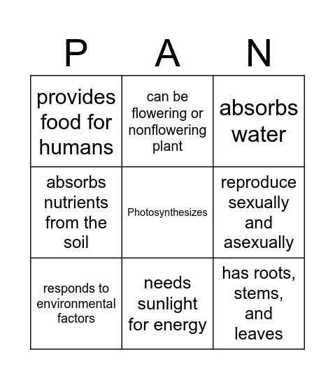 Characteristics of Plants Bingo Card