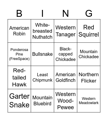 Species Bingo Card