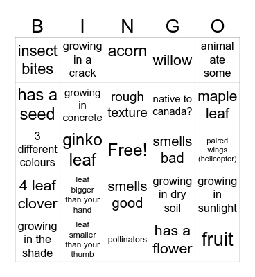 Toronto Geography Bingo Card