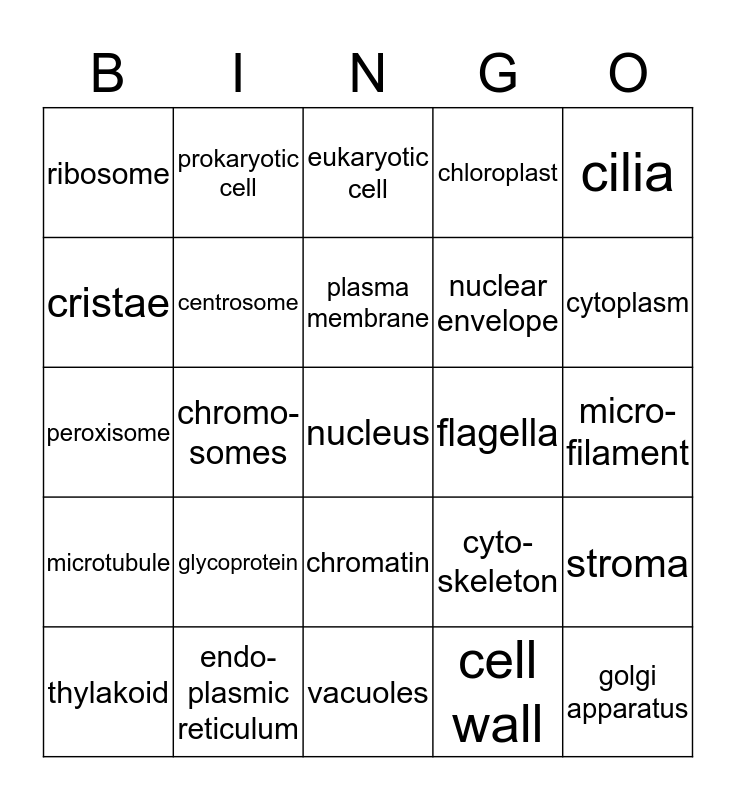 cell bingo Card