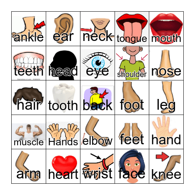 Body Parts Bingo Card
