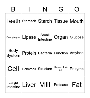 Digestive System Bingo Card