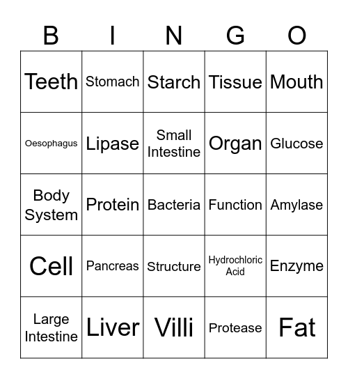 Digestive System Bingo Card