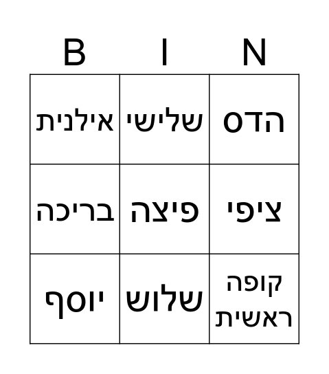 פעילות חופשה תשפ"ו Bingo Card