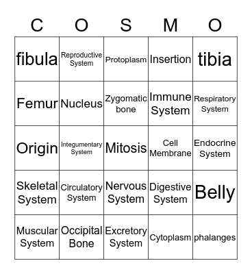 Anatomy and Physiology  Bingo Card