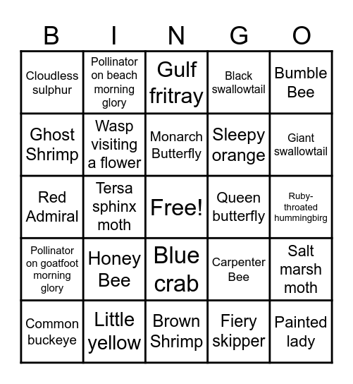 Pollinator Bingo Card