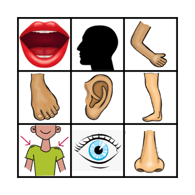 Partes del cuerpo Bingo Card