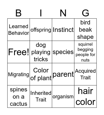 Inherited Traits vs Learned Behaviors Bingo Card