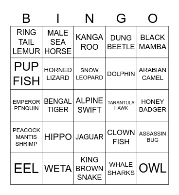 ANIMAL FACTS Bingo Card