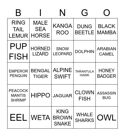 ANIMAL FACTS Bingo Card