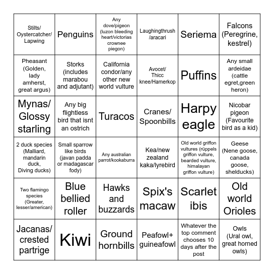 Birds Bingo Card