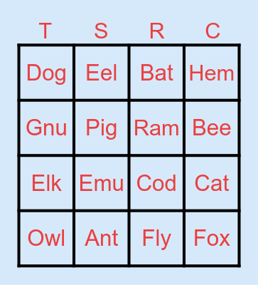 Animals Bingo Card