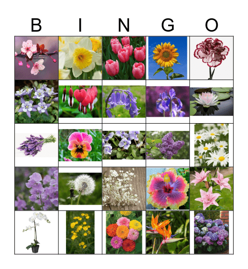Flowers Bingo Card