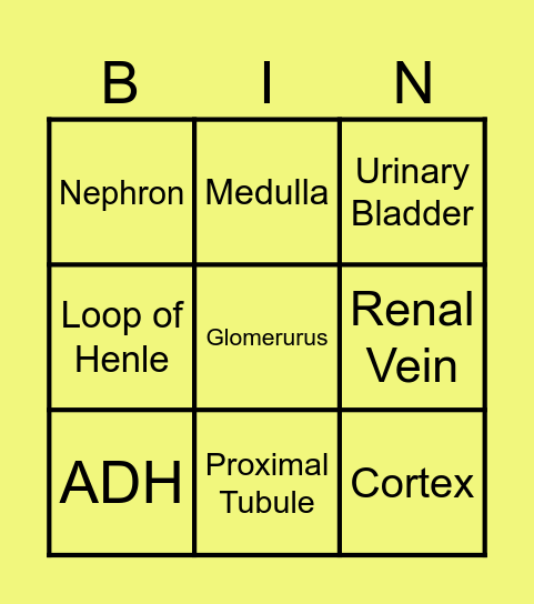 Excretory Bingo Card