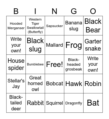 Moeller Bingo Card