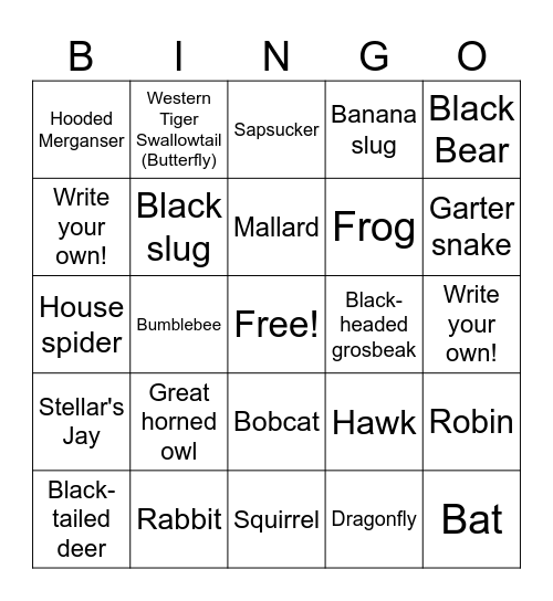 Moeller Bingo Card
