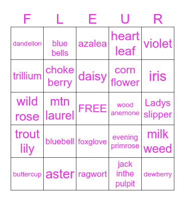 a little WILD..... Bingo Card