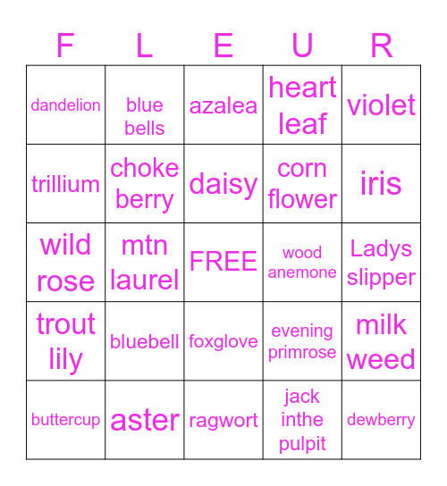 a little WILD..... Bingo Card