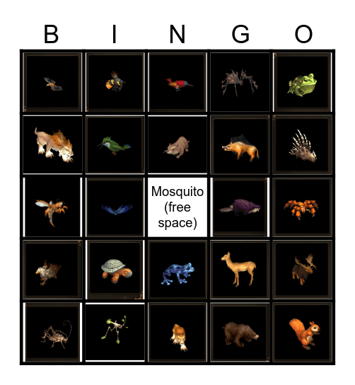 Loch Modan National Park Animal Bingo Card