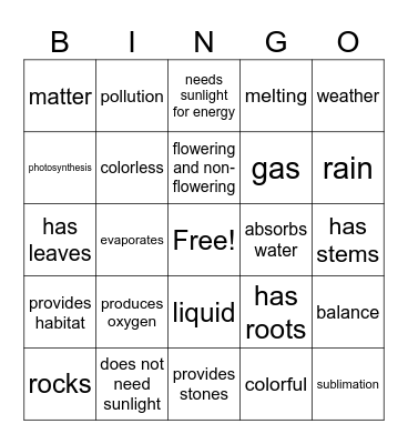 Plant Characteristics Bingo Card