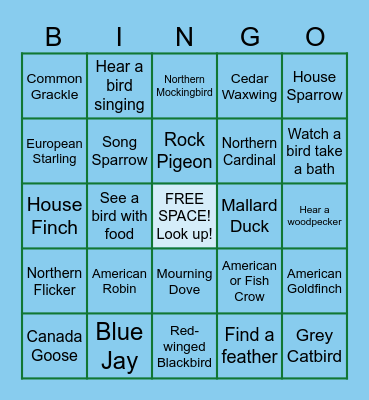 Birdwatching Bingo Card