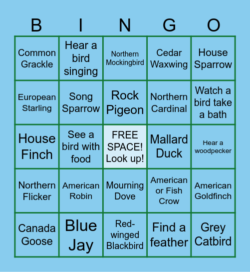 Birdwatching Bingo Card