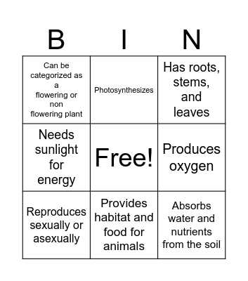 Plant Characteristics Bingo Card