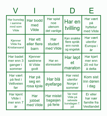 Vilde 30 år Bingo Card