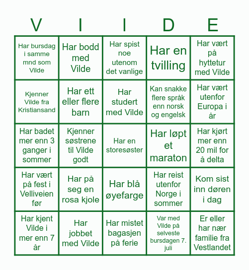 Vilde 30 år Bingo Card