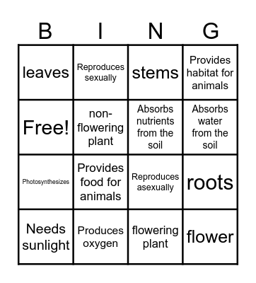 Plant Characteristics Bingo Card