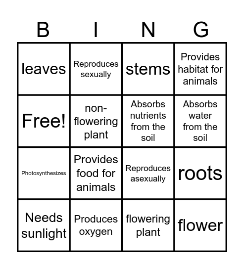 Plant Characteristics Bingo Card