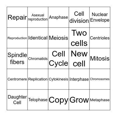 Mitosis Bingo Card