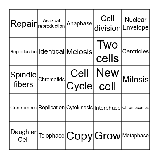 Mitosis Bingo Card