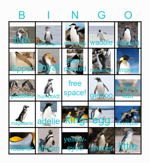 PENGUIN Bingo Card