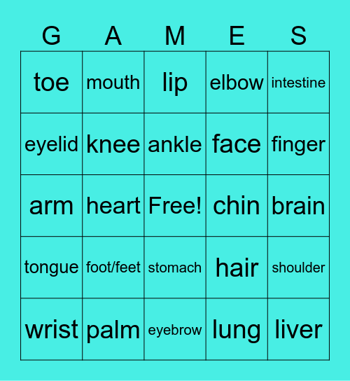 Body part Bingo Card