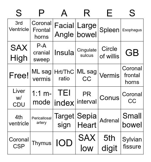 EXTRA! EXTRA! Bingo Card