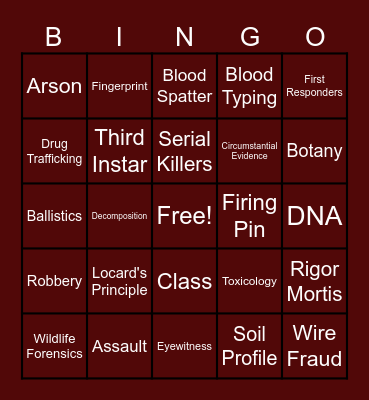 Intro to Forensics 2 Bingo Card