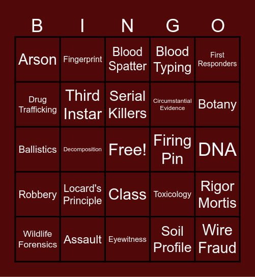 Intro to Forensics 2 Bingo Card