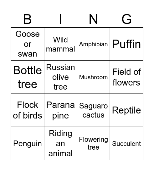 Nature map Bingo Card