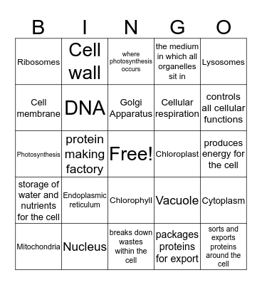 Cells and organelles Bingo Card